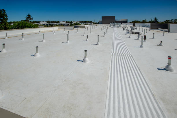 Best Roof Moss and Algae Removal  in Terre Du Lac, MO